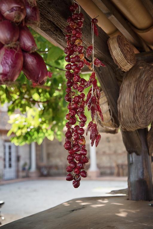 Вилла Don Carlo Agriturismo Di Charme Bio Le Pioppe Экстерьер фото